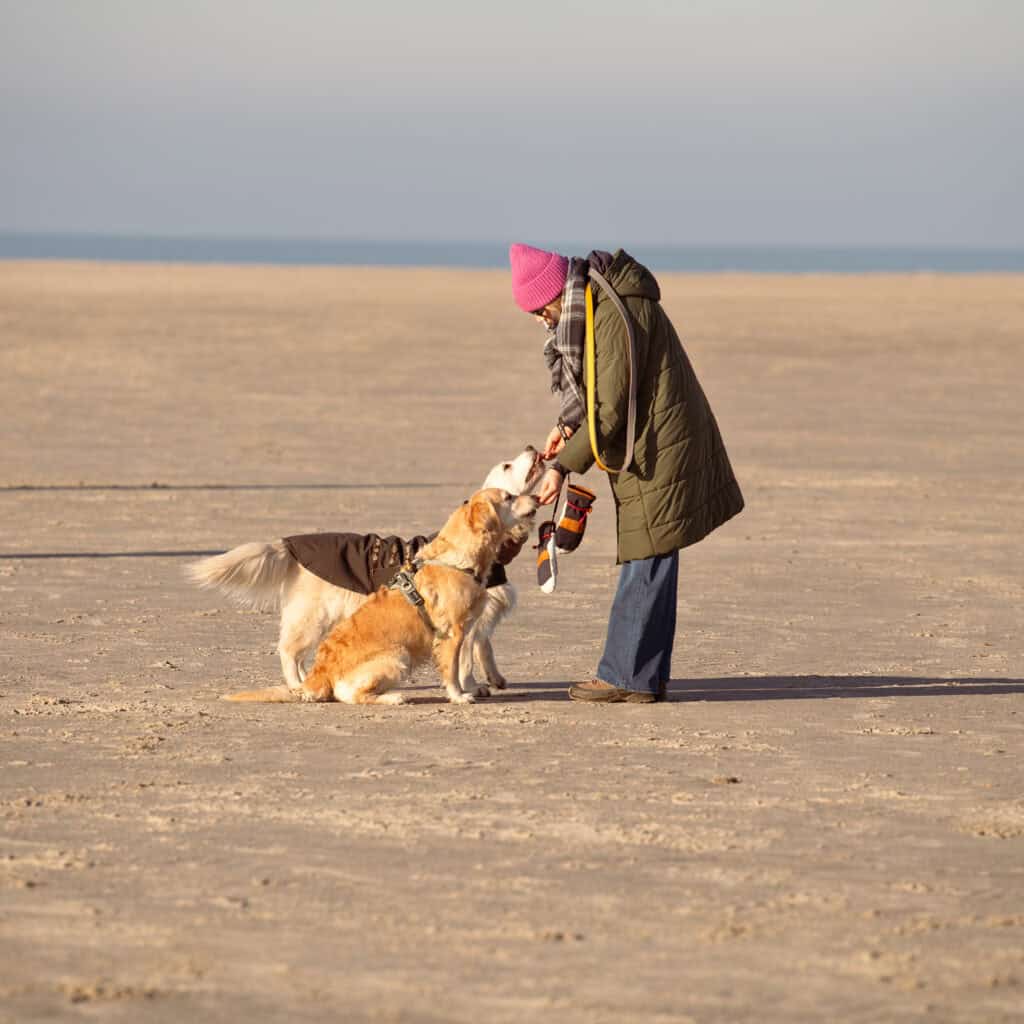 Frau mit zwei Hunden bei einem Winterspaziergang am Nordseestrand, ruhiger Jahreswechsel in der Lebensmitte