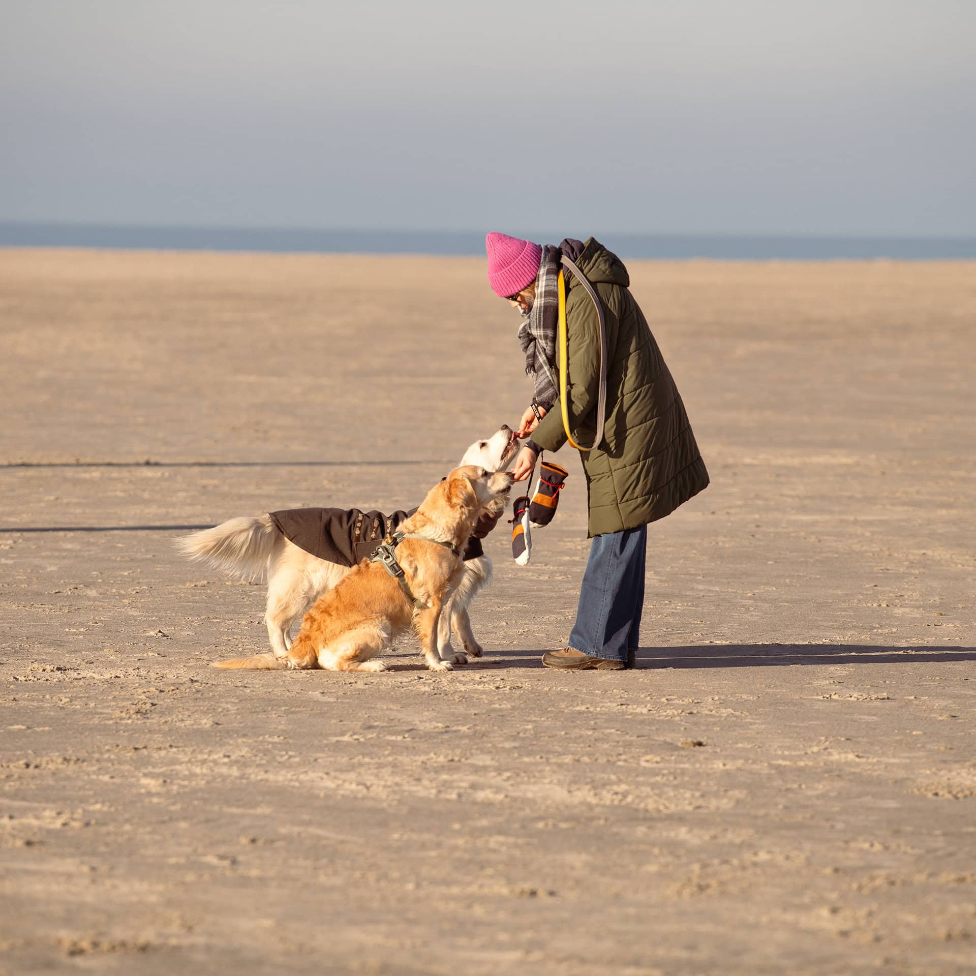 Frau mit zwei Hunden bei einem Winterspaziergang am Nordseestrand, ruhiger Jahreswechsel in der Lebensmitte